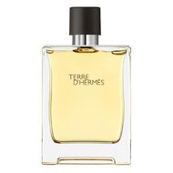 Terre d’Hermès – The Elemental Gentleman