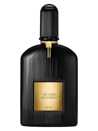 Black Orchid – Darkness in Bloom