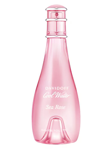 Cool Water Sea Rose – Soft Breeze, Soft Bloom
